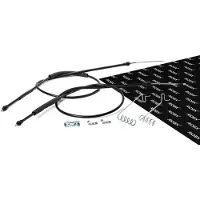 RIDEX 124C0731 Handremkabel