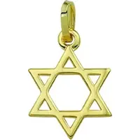 Marie-Celeste Hanger Davidster - Goud