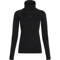 Icebreaker 300 Merinofine Polar Roll Neck Lange Mouwen Basislaag