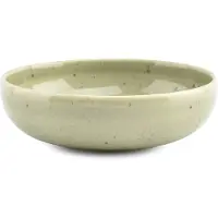 Salt & pepper Kom Blush Green 16 cm (Set van 4)