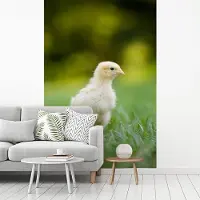 MuchoWow Behang - Fotobehang Schattig kuikentje in het groene gras - Breedte 175 cm x hoogte 260 cm