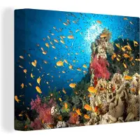 MuchoWow Koraal met vissen Canvas 120x90 cm - Foto print op Canvas schilderij (Wanddecoratie woonkamer / slaapkamer)