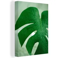 MuchoWow Botanische print druppels op een blad Canvas 120x160 cm - Foto print op Canvas schilderij (Wanddecoratie woonkamer / slaapkamer) XXL / Groot formaat!