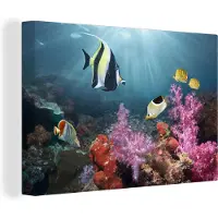 MuchoWow Kleurig koraal Canvas 180x120 cm - Foto print op Canvas schilderij (Wanddecoratie woonkamer / slaapkamer) XXL / Groot formaat!