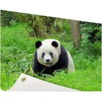 MuchoWow Grote panda in het gras Tuinposter 60x40 cm - klein - Tuindoek / Buitencanvas / Schilderijen voor buiten (tuin decoratie)