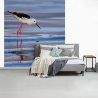 MuchoWow Fotobehang vinyl - Kluut zoekt naar vissen in het water breedte 220 cm x hoogte 240 cm - Foto print op behang (in 7 formaten beschikbaar)