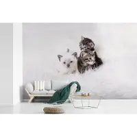 MuchoWow Behang - Fotobehang Drie schattige Amerikaanse Korthaar kittens - Breedte 330 cm x hoogte 220 cm