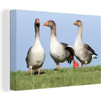 MuchoWow Canvas Schilderij Gans - Gras - Dieren - 120x80 cm - Wanddecoratie