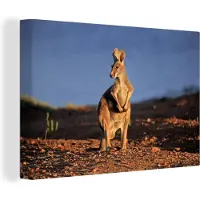 MuchoWow Kangoeroe zonsondergang Canvas 120x80 cm - Foto print op Canvas schilderij (Wanddecoratie woonkamer / slaapkamer) / Wilde dieren Canvas Schilderijen