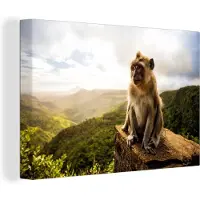 MuchoWow Canvas Schilderij Aap - Rots - Dieren - Berg - Mos - 30x20 cm - Wanddecoratie