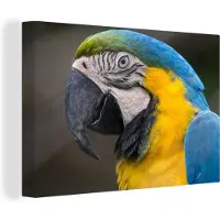 MuchoWow Blauw en gele ara fotoafdruk Canvas 90x60 cm - Foto print op Canvas schilderij (Wanddecoratie woonkamer / slaapkamer)