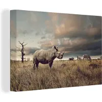 MuchoWow Canvas Schilderij Neushoorn - Zebra's - Safari - 90x60 cm - Wanddecoratie