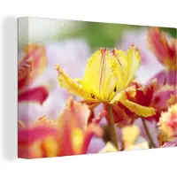 MuchoWow Close-up tulp Canvas 30x20 cm - klein - Foto print op Canvas schilderij (Wanddecoratie woonkamer / slaapkamer) / Bloemen Canvas Schilderijen