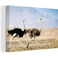 MuchoWow Canvas Schilderij Twee rennende struisvogels - 30x20 cm - Wanddecoratie