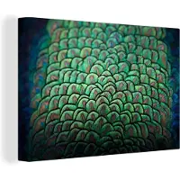MuchoWow Pauwenveren print Canvas 180x120 cm - Foto print op Canvas schilderij (Wanddecoratie woonkamer / slaapkamer) XXL / Groot formaat!