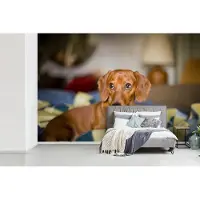 MuchoWow Behang - Fotobehang Teckel die op een bed ligt - Breedte 420 cm x hoogte 280 cm