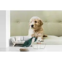 MuchoWow Fotobehang vinyl - Golden Retriever puppy liggend op de bank breedte 390 cm x hoogte 260 cm - Foto print op behang (in 7 formaten beschikbaar)