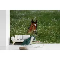 MuchoWow Behang - Fotobehang Kop van een veulen steekt boven het gras uit - Breedte 600 cm x hoogte 400 cm