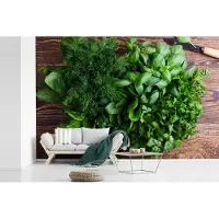 MuchoWow Fotobehang vinyl - Groene peterselie op een donkerbruine ondergrond breedte 420 cm x hoogte 280 cm - Foto print op behang (in 7 formaten beschikbaar)