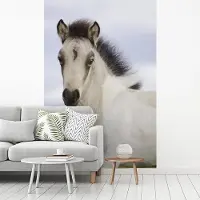 MuchoWow Fotobehang vinyl - Wit met zwart veulen breedte 175 cm x hoogte 260 cm - Foto print op behang (in 7 formaten beschikbaar)