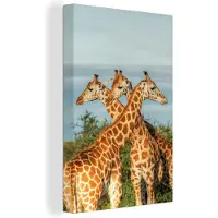 MuchoWow Canvas schilderij 120x180 cm - Wanddecoratie Giraffen - Lucht - Dieren - Muurdecoratie woonkamer - Slaapkamer decoratie - Kamer accessoires - Schilderijen