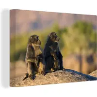 MuchoWow Canvas Schilderij Apen - Steen - Dieren - Baviaan - 30x20 cm - Wanddecoratie