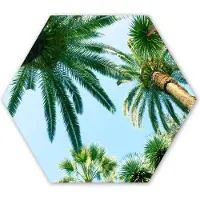 MuchoWow Hexagon wanddecoratie - Kunststof Wanddecoratie - Hexagon Schilderij - Palmbladeren - Lucht - Zomer - Tropisch - 75x65 cm
