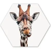 MuchoWow Hexagon wanddecoratie - Kunststof Wanddecoratie - Hexagon Schilderij - Jongens - Giraffe - Dieren - Kop - Portret - Kind - Meisjes - 120x103 cm