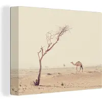 MuchoWow Kameel wandelt over woestijnweg in Dubai Canvas 80x60 cm - Foto print op Canvas schilderij (Wanddecoratie woonkamer / slaapkamer)