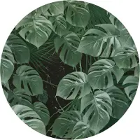 Komar Vliesbehang Zelfklevend vlies - Novel Monstera - Afmeting 125 x 125 cm (1 stuk)