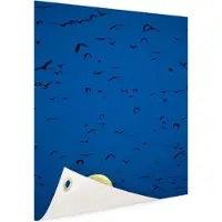 MuchoWow Vleermuizen voor volle maan Tuinposter 120x180 cm - Tuindoek / Buitencanvas / Schilderijen voor buiten (tuin decoratie) XXL / Groot formaat!