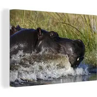 MuchoWow Canvas Schilderij Nijlpaard - Water - Gras - 90x60 cm - Wanddecoratie