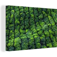 MuchoWow Theeplantages India Canvas 180x120 cm - Foto print op Canvas schilderij (Wanddecoratie woonkamer / slaapkamer) XXL / Groot formaat!