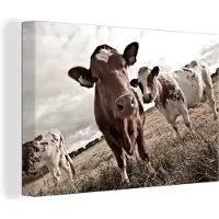 MuchoWow Canvas schilderij 180x120 cm - Wanddecoratie Koeien op een veld sepia fotoprint - Muurdecoratie woonkamer - Slaapkamer decoratie - Kamer accessoires - Schilderijen