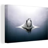 MuchoWow Onderaanzicht mantarog in de oceaan Canvas 180x120 cm - Foto print op Canvas schilderij (Wanddecoratie woonkamer / slaapkamer) / Wilde dieren Canvas Schilderijen XXL / Groot formaat!