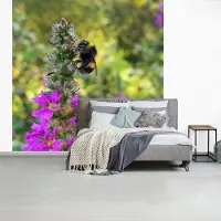 MuchoWow Behang - Fotobehang Hommel bevindt zich tussen de wilde bloemen - Breedte 260 cm x hoogte 260 cm