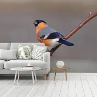 MuchoWow Fotobehang vinyl - Mannelijke en kleurrijke goudvink breedte 375 cm x hoogte 300 cm - Foto print op behang (in 7 formaten beschikbaar)