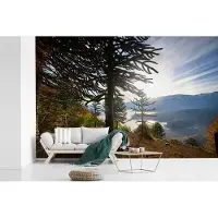 MuchoWow Fotobehang vinyl - Zonsopkomst achter de slangenden breedte 420 cm x hoogte 280 cm - Foto print op behang (in 7 formaten beschikbaar)