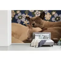 MuchoWow Behang - Fotobehang Twee knuffelende Burmese katten - Breedte 420 cm x hoogte 280 cm