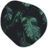 MuchoWow Organische wanddecoratie 40x40 cm - Organisch schilderij Jungle - Palmboom - Bladeren - Tropisch - Muurdecoratie woonkamer - Kamer decoratie - Schilderijen - Muurcirkel aesthetic