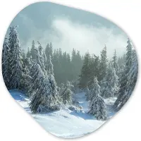 MuchoWow Organische wanddecoratie 60x60 cm - Organisch schilderij Bos - Sneeuw - Winter - Muurdecoratie woonkamer - Kamer decoratie - Schilderijen - Muurcirkel aesthetic - Kerstdecoratie in huis - Kerstmis