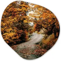 MuchoWow Organische wanddecoratie 40x40 cm - Organisch schilderij Herfstbos - Pad - Bladeren - Landelijk - Muurdecoratie woonkamer - Kamer decoratie - Schilderijen - Muurcirkel aesthetic