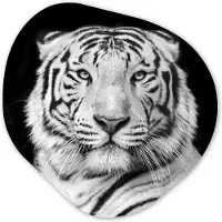 MuchoWow Organische wanddecoratie 40x40 cm - Organisch schilderij Tijger - Zwart - Wit - Portret - Dieren - Muurdecoratie woonkamer - Kamer decoratie - Schilderijen - Muurcirkel aesthetic