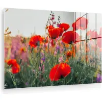 MuchoWow Glasschilderij 90x60 cm - Schilderij acrylglas - Klaproos - Bloemen - Rood - Paars - Weide - Foto op glas - Muurdecoratie woonkamer - Wanddecoratie slaapkamer - Schilderijen