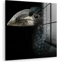 MuchoWow - Glasschilderij - Foto op glas - Acrylglas - Neushoornvogel - Dier - Snavel - Zwart wit - Vogel - 90x90 cm - Schilderij glas - Glasschilderij vogels - Glasschilderij zwart wit
