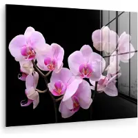 MuchoWow Glasschilderij 160x120 cm - Schilderij acrylglas - Orchidee - Bloemen - Roze - Flora - Foto op glas - Muurdecoratie woonkamer - Wanddecoratie slaapkamer - Schilderijen