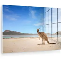 MuchoWow Glasschilderij 90x60 cm - Schilderij acrylglas - Strand - Kangoeroe - Australië - Foto op glas - Muurdecoratie woonkamer - Wanddecoratie slaapkamer - Schilderijen