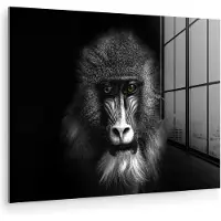 MuchoWow Glasschilderij - Foto op glas - Acrylglas - Aap - Dier - Ogen - Bruin - Zwart-wit - 160x120 cm - Glasschilderij aap - Kamer decoratie - Schilderij glas - Glasschilderij dieren - Schilderijen woonkamer