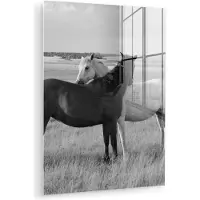 MuchoWow Glasschilderij - Foto op glas - Acrylglas - Dieren - Paarden - Gras - Natuur - 90x120 cm - Glasschilderij paard - Schilderij glas - Glasschilderij dieren - Wanddecoratie - Slaapkamer