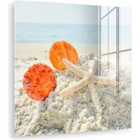 MuchoWow Glasschilderij 90x90 cm - Schilderij acrylglas - Schelpen - Zeester - Zand - Foto op glas - Muurdecoratie woonkamer - Wanddecoratie slaapkamer - Schilderijen